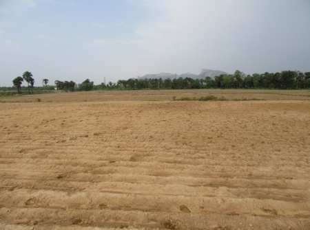 4) Li Id 218 - Pic 5.JPG